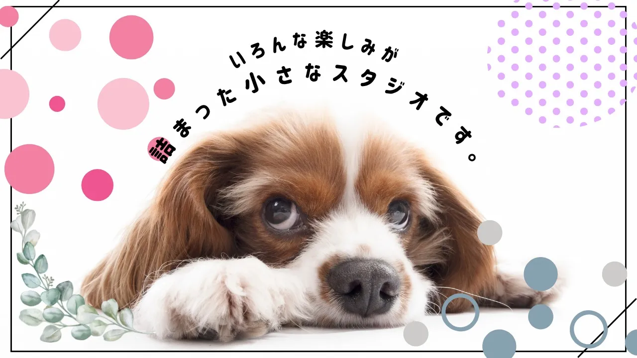 ここには、好奇心のスイッチがいっぱい。